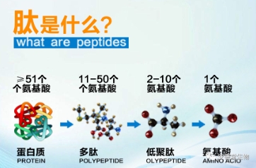 图片加载失败