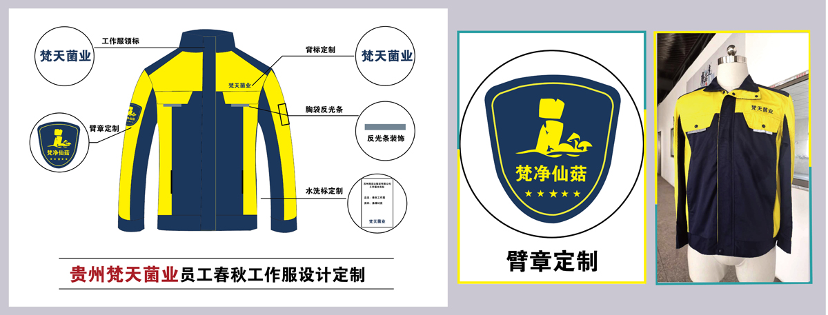 图片加载失败